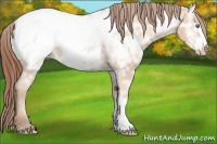 Horse Color:Amber Champagne Ice Snowcap