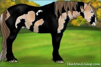 Horse Color:Bay Splash Tobiano Varnish 