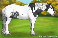 Horse Color:Black Splash Tobiano Snowcap 