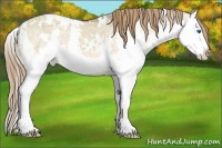 Horse Color:White Spotted Bay Ice Dun Splash Varnish 