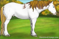 Horse Color:Painted Chestnut Sabino Splash Appaloosa
