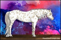 Horse Color:Chocolate Palomino Roan Dun Appaloosa Brindle 