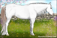 Horse Color:Red Dun Sabino Blanket Rabicano 