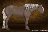 Horse Color:Silver Black 