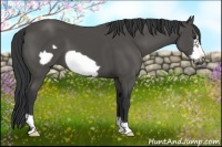 Horse Color:Black Frame