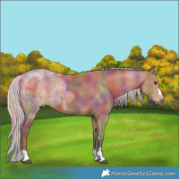 Horse Color:Nacre Silver Bay Ice 