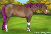 Horse Color:Painted Liver Chestnut