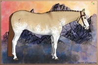 Horse Color:White Spotted Red Dun 