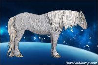 Horse Color:Gray Gold Champagne Ice Roan Dun