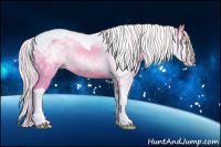 Horse Color:Gray Silver Amber Cream Champagne Dun Tobiano