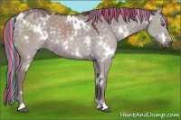 Horse Color:Painted White Spotted Chocolate Silver Grullo Chinchilla 