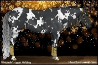 Horse Color:White Spotted Black
