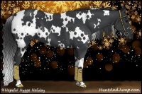 Horse Color:White Spotted Black 