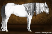Horse Color:White Spotted Brown Splash Frame 
