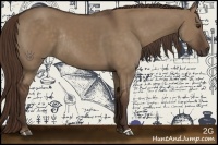 Horse Color:Liver Red Dun Rabicano 