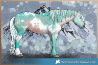 Horse Color:Watercolor White Spotted Silver Brown Chinchilla 
