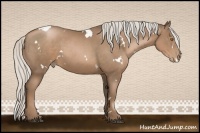 Horse Color:White Spotted Silver Black Pearl