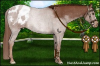 Horse Color:Chestnut Blanket 