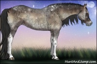Horse Color:Liver Red Onyx Ice Tobiano 