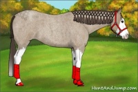Horse Color:Classic Champagne Roan Splash 