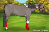 Horse Color:Grullo Roan Tobiano