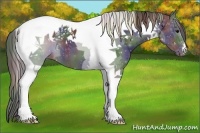 Horse Color:Nacre Black Tobiano