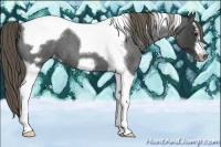 Horse Color:Smoky Blue Roan Splash Tobiano Frame Varnish 