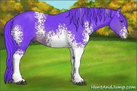 Horse Color:Watercolor White Spotted Chocolate Brown Rabicano 