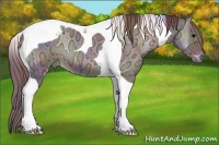 Horse Color:Nacre Chocolate Blue Onyx Ice Roan Tobiano 