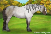 Horse Color:Liver Red Roan 