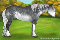 Horse Color:Silver Buckskin Chinchilla Tobiano 