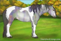 Horse Color:Nacre White Spotted Buckskin Chinchilla Dun Tobiano 