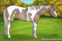 Horse Color:Nacre White Spotted Silver Brown Dun Tobiano 