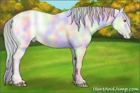 Horse Color:Nacre Smoky Grullo Chinchilla Pearl Onyx