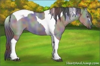 Horse Color:Nacre Grullo Chinchilla Tobiano
