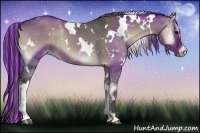 Horse Color:Painted White Spotted Grullo Onyx 