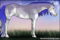 Horse Color:Watercolor Sable Champagne Sabino Splash