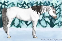 Horse Color:Liver Chestnut Sabino Frame 