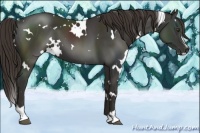 Horse Color:White Spotted Liver Chestnut Sabino 