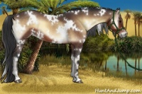 Horse Color:White Spotted Brown Onyx 