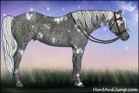 Horse Color:White Spotted Silver Black Chinchilla Ice