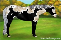 Horse Color:Watercolor Amber Champagne Sabino Splash Frame 