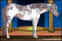 Horse Color:Watercolor White Spotted Chestnut Frame 