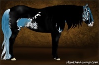 Horse Color:Watercolor Brown Splash Tobiano