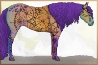 Horse Color:Watercolor Bay 