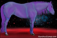 Horse Color:Watercolor Black 