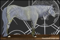 Horse Color:Watercolor Black 
