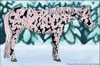 Horse Color:Watercolor Palomino Appaloosa 