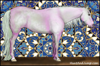 Horse Color:Gray Watercolor Chestnut Appaloosa 