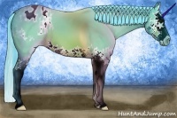 Horse Color:Watercolor Bay Splash Appaloosa 